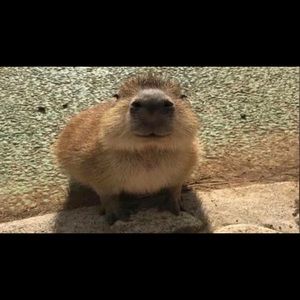 Meet your Posher, April